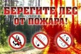 Берегите лес от пожара!